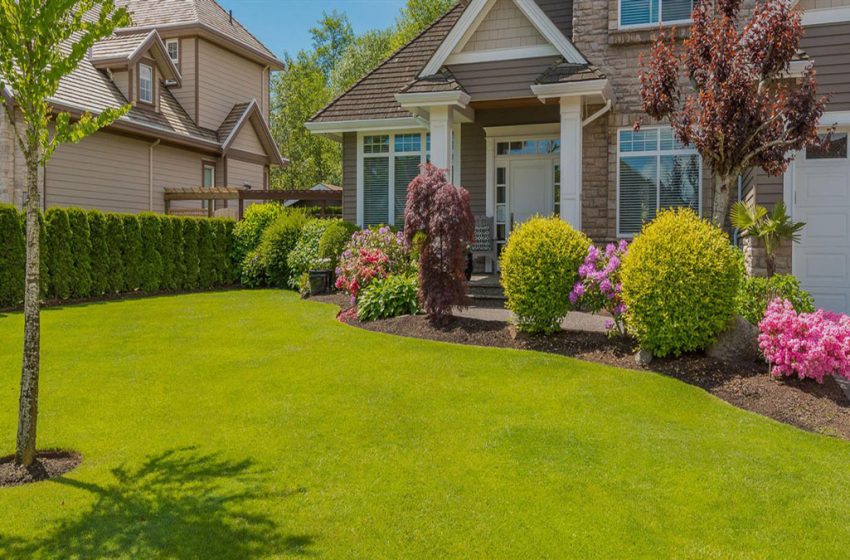  What To Consider When Picking Landscape Services