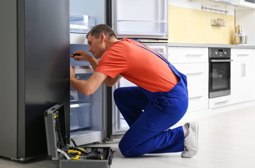  A Guide to find the best freezer repair
