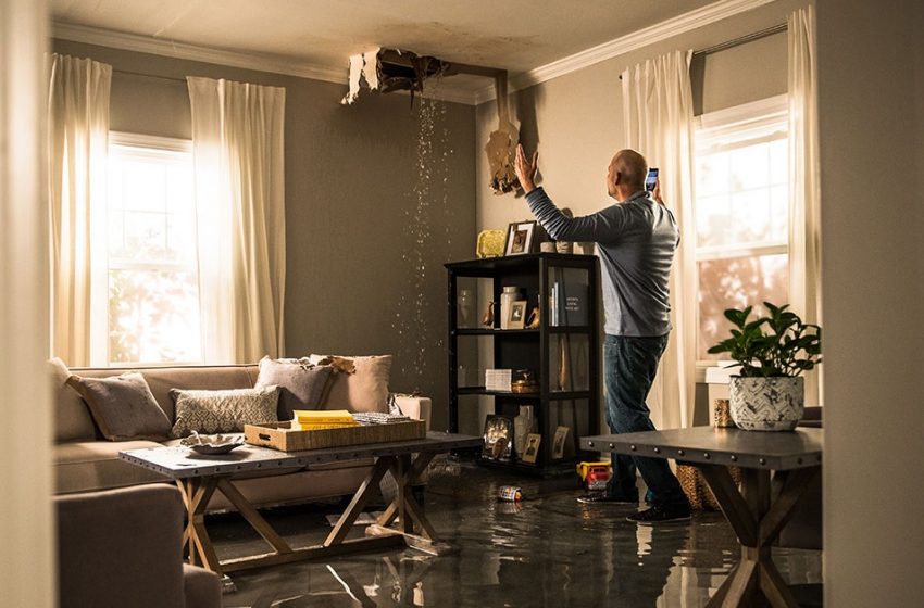  Everything You Should know About Water Damage Restoration Services