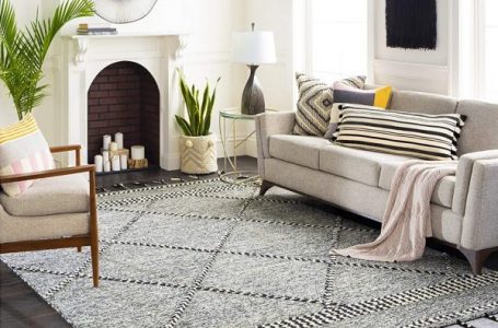 Exclusive Rugs that are a perfect fit for your living room