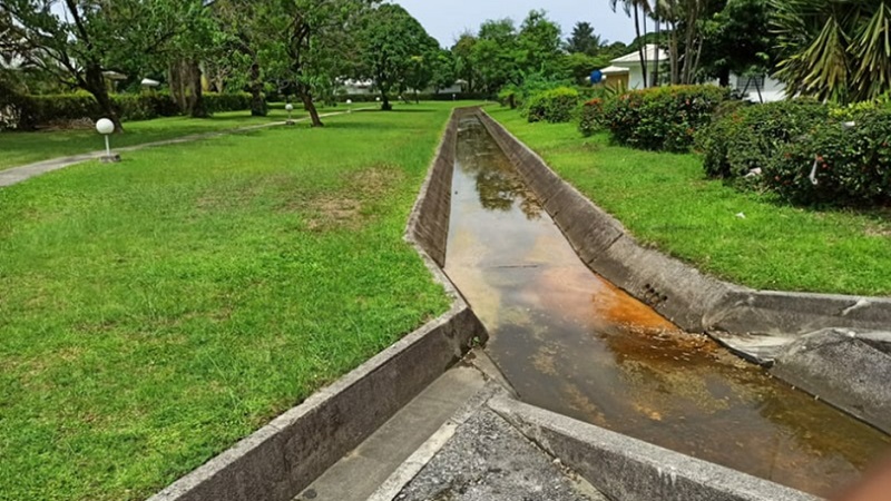 The Importance of Drainage Solutions in Landscape Design