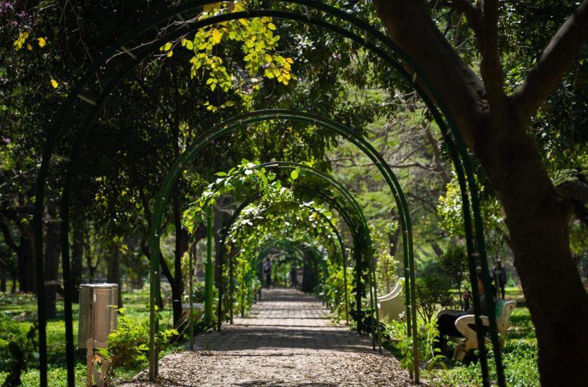  Pinery Residences Harnessing Nature for a Sustainable Future