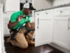 Why Huntsville Homes Need Customized Pest Control Plans