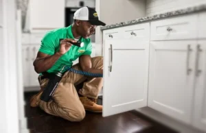 Why Huntsville Homes Need Customized Pest Control Plans