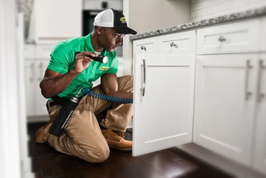 Why Huntsville Homes Need Customized Pest Control Plans